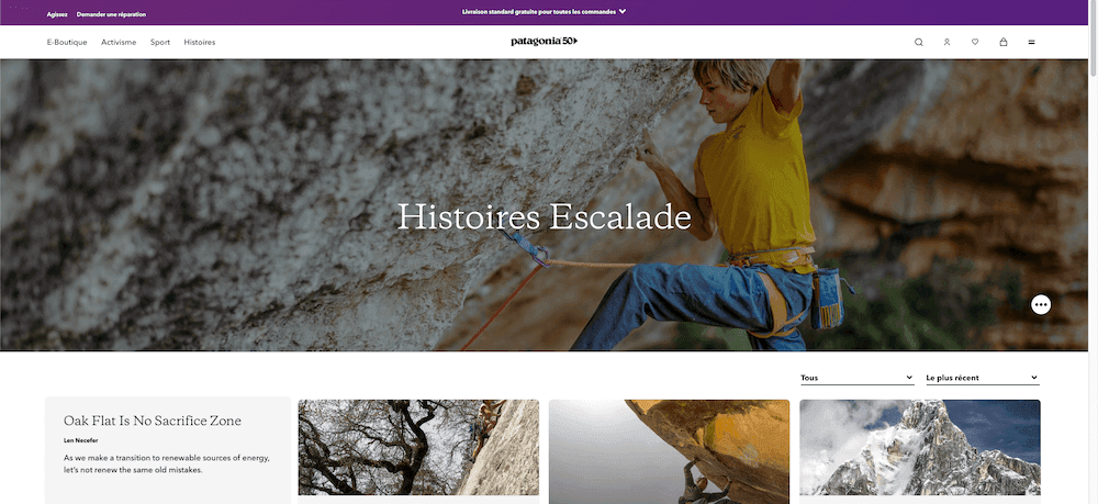 Design Website Patagonia